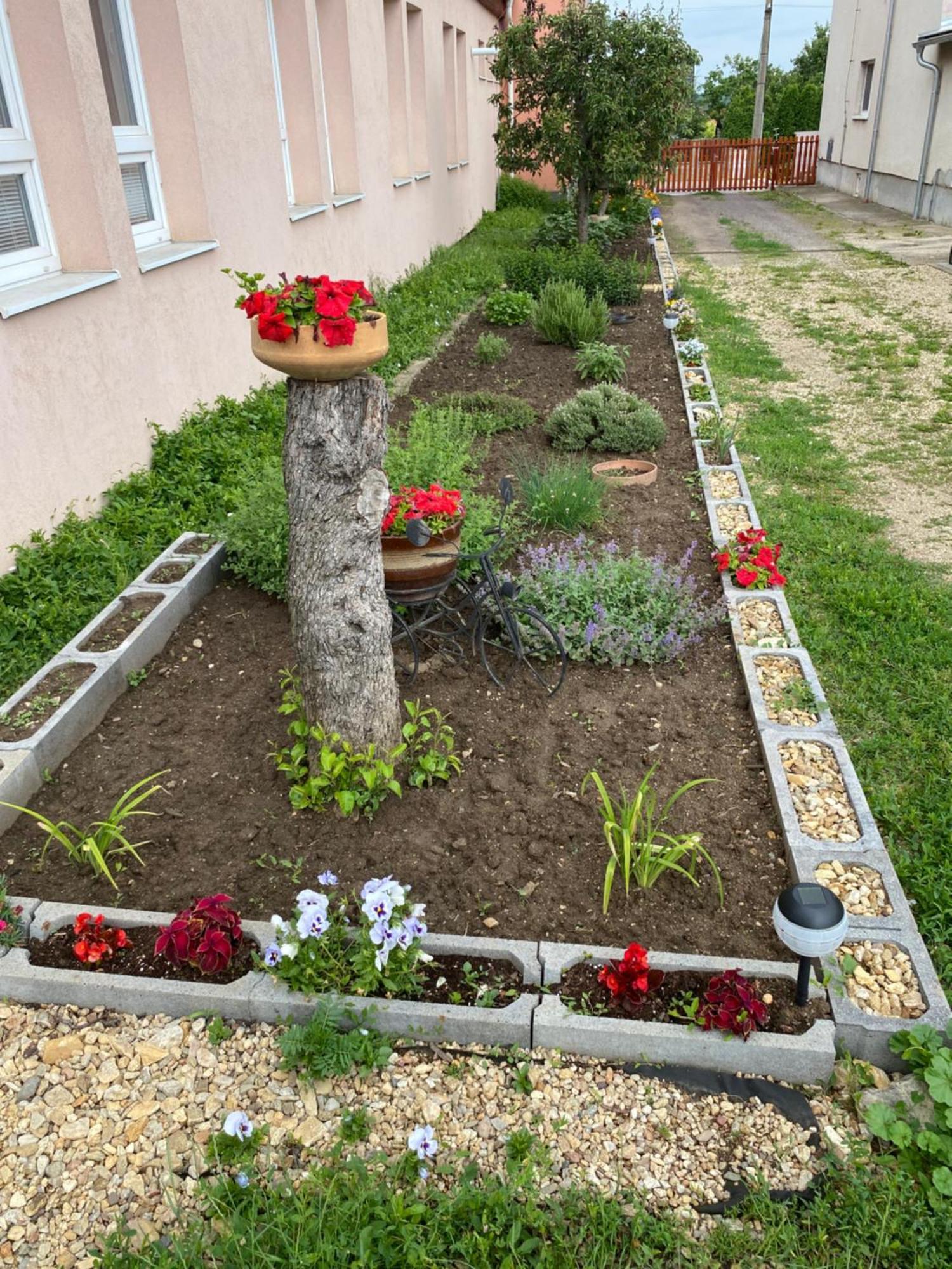 Homestay U Truhlaru Saldorf