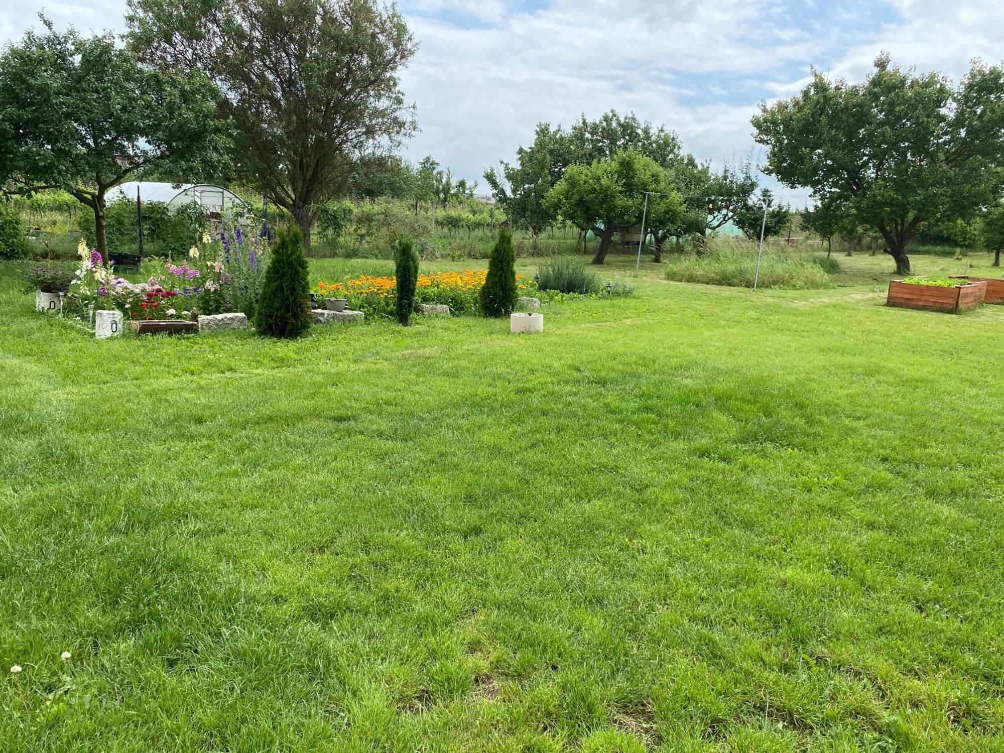 Homestay U Truhlaru Saldorf